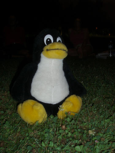 Tux in the Dark